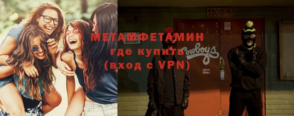 гидра Ельня