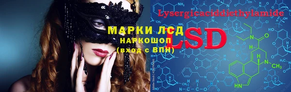 ECSTASY Елизово