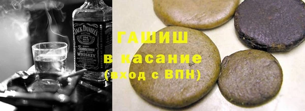 гидра Ельня