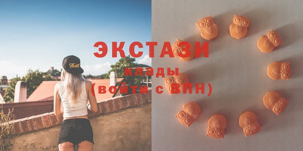 гидра Ельня