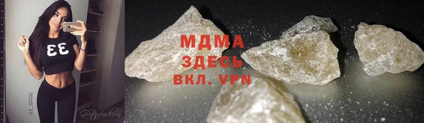 гидра Ельня