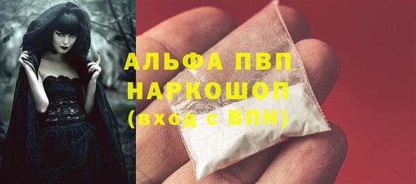 ECSTASY Елизово
