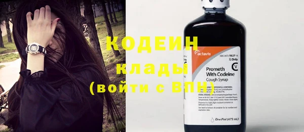 гидра Ельня