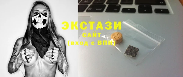 гидра Ельня