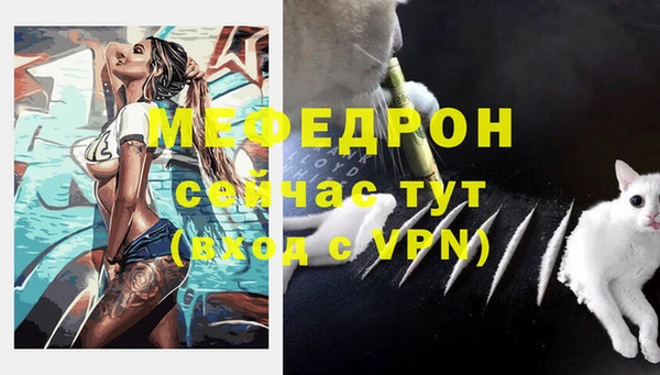гидра Ельня