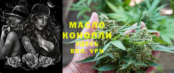 гидра Ельня