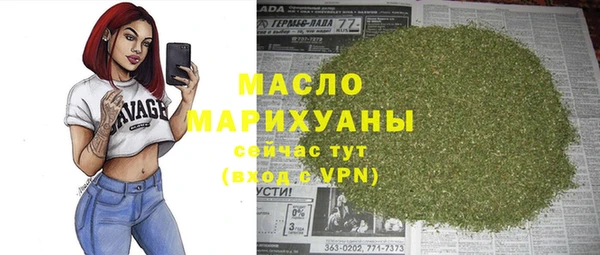 гидра Ельня
