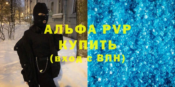 гидра Ельня