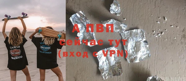 гидра Ельня