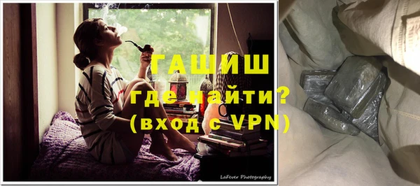 гидра Ельня