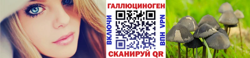 Псилоцибиновые грибы GOLDEN TEACHER что такое Ишимбай